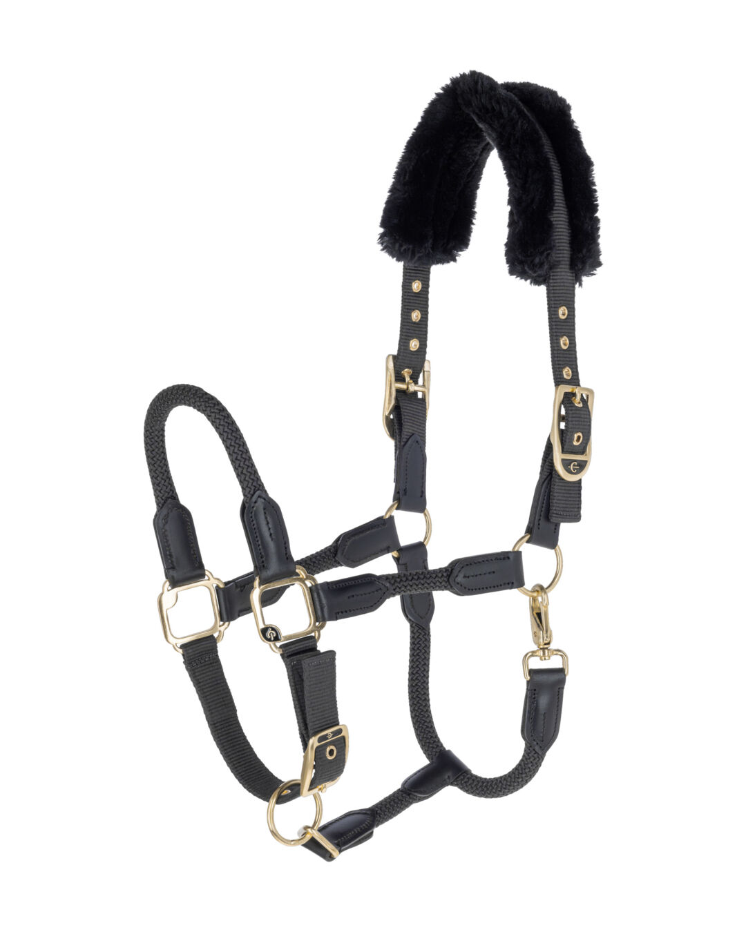 Halfter Anniversary Halfter Anniversary